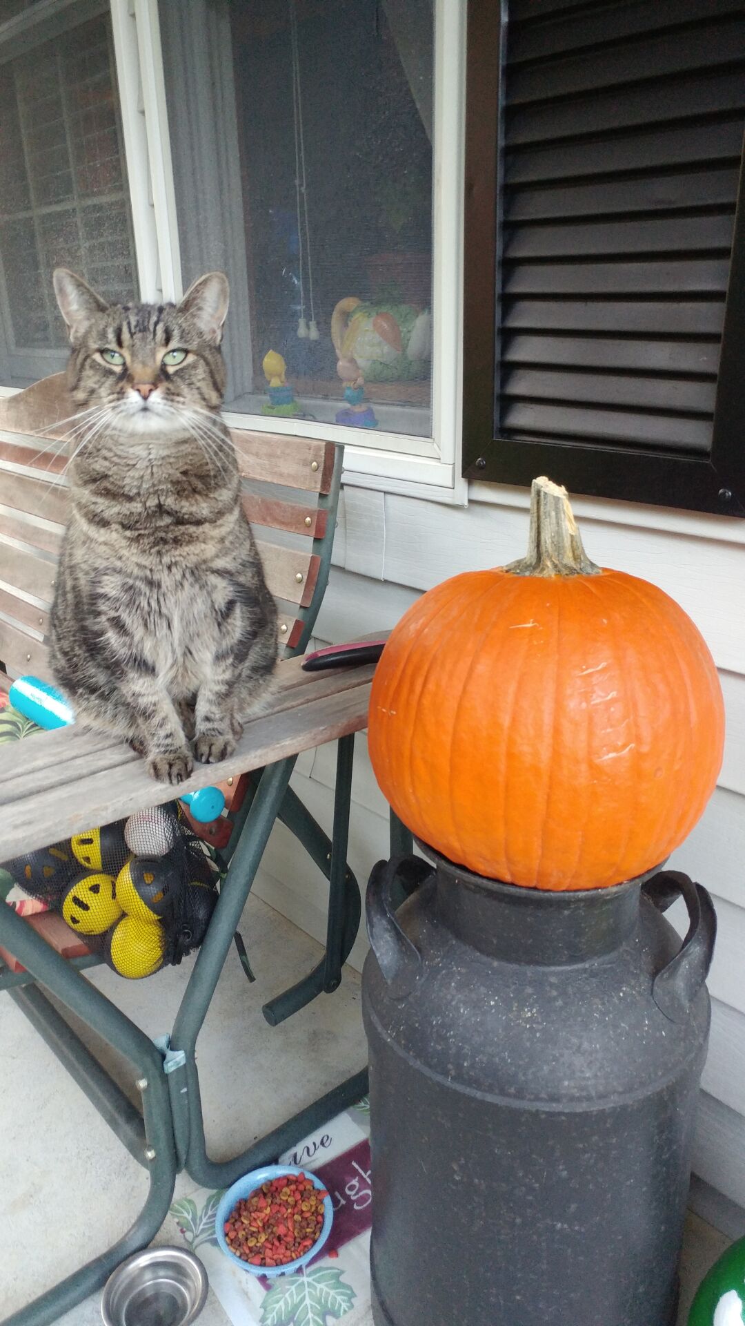 Halloween gothic.jpg